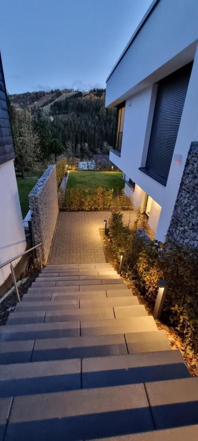 Upland Lounge Apartment Willingen  Ngoại thất bức ảnh